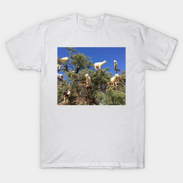 Goats in an argan tree T-Shirt by AHelene